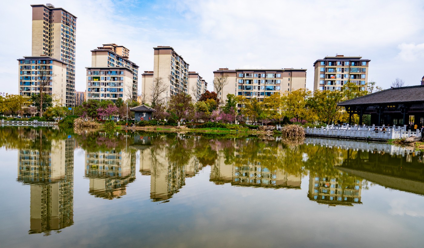 DSC00317 ����.jpg