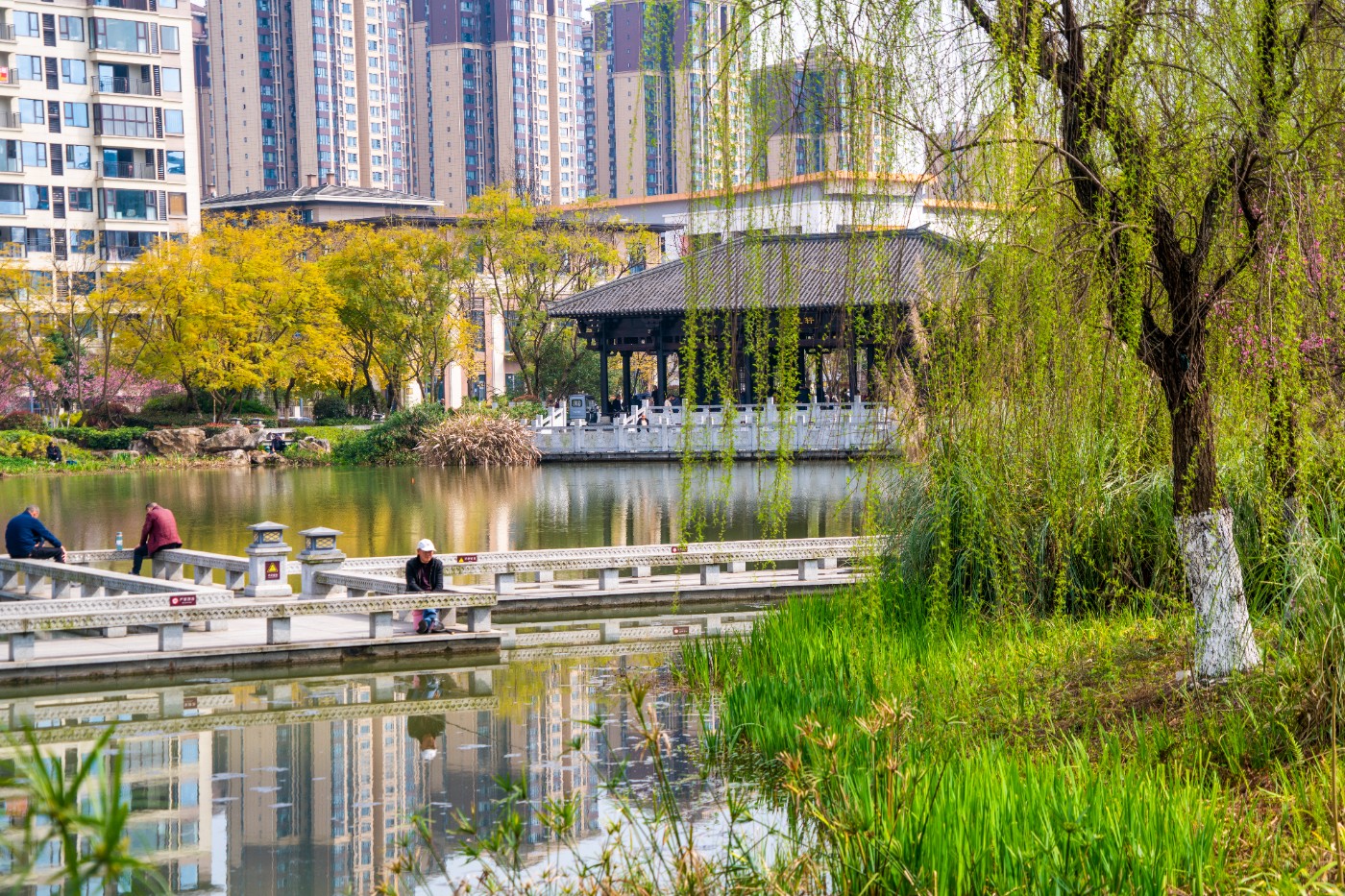 DSC00302 ����.jpg