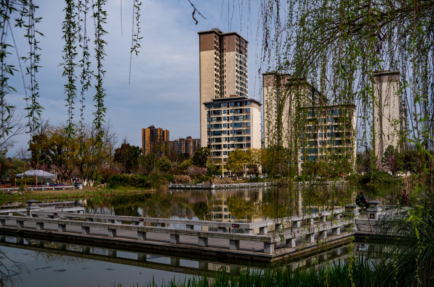 DSC00310 ����.jpg