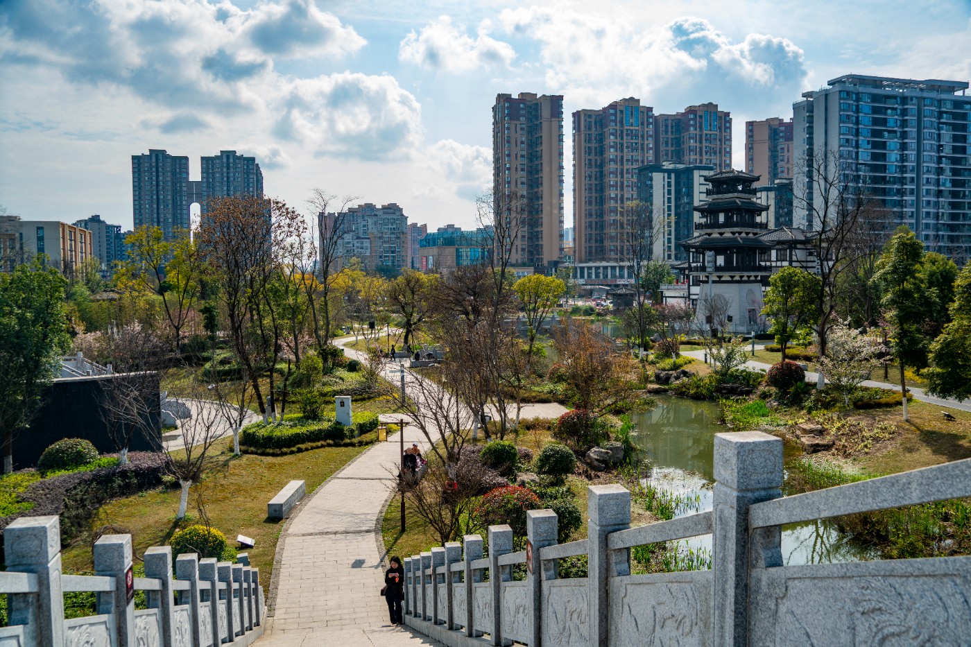 DSC00324 ����.jpg