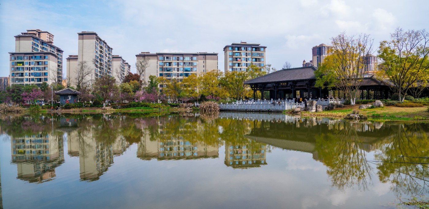 DSC00318 ����.jpg