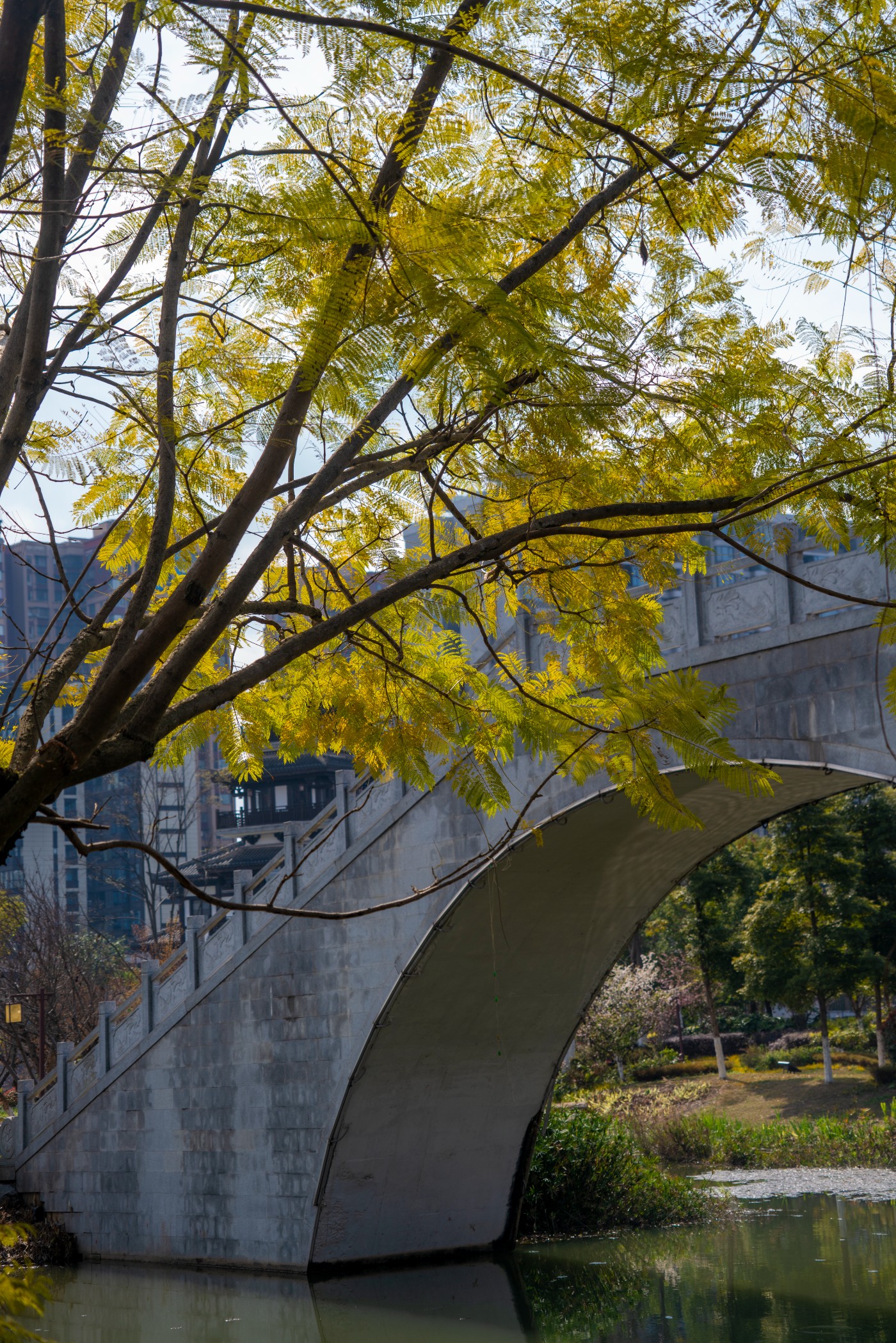 DSC00325 ����.jpg