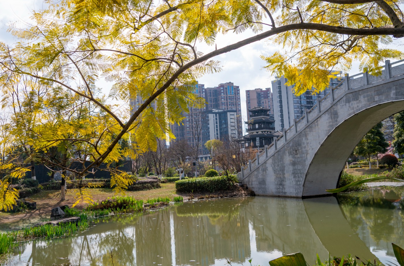 DSC00326 ����.jpg