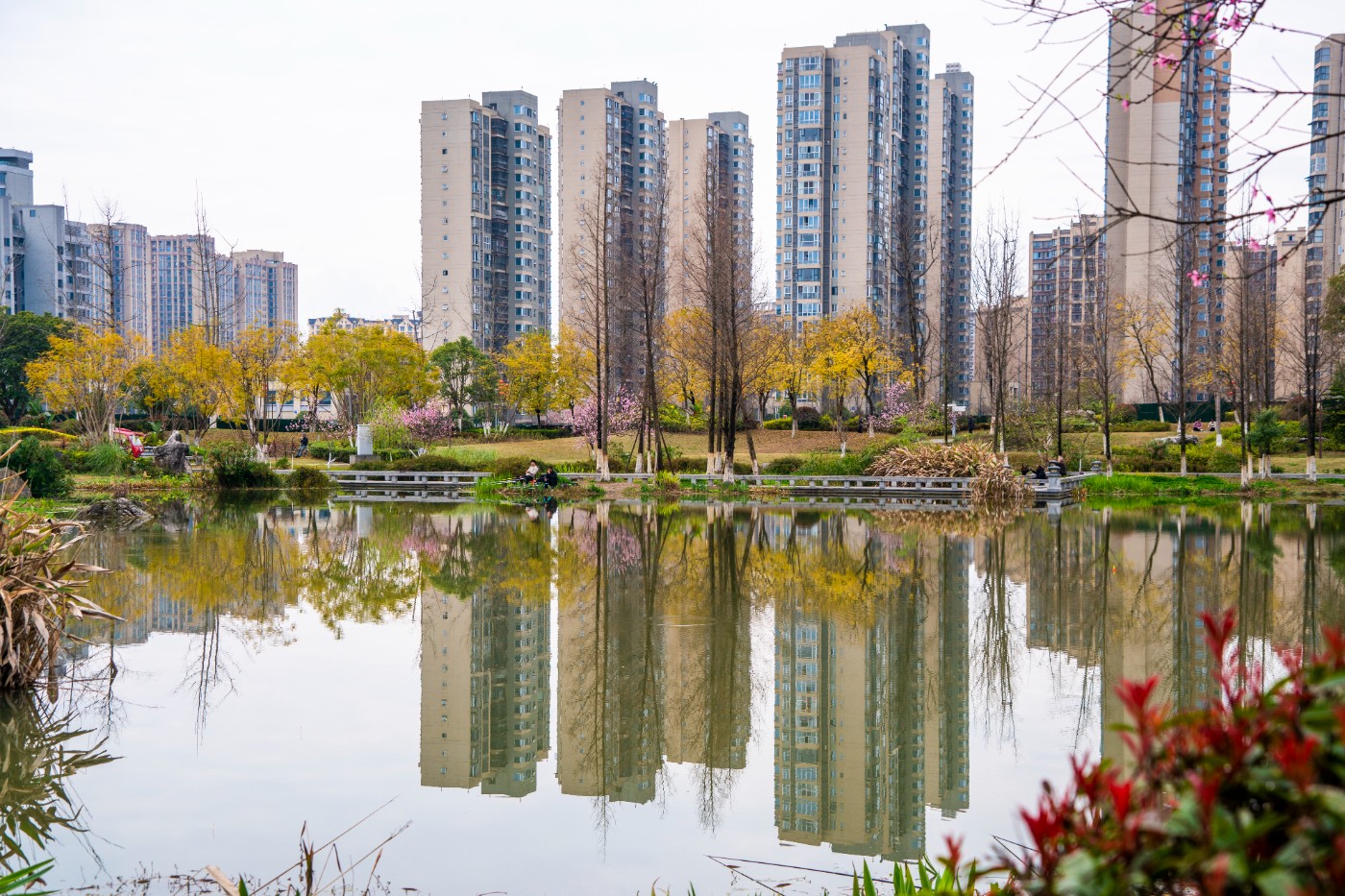 DSC00246 ����.jpg