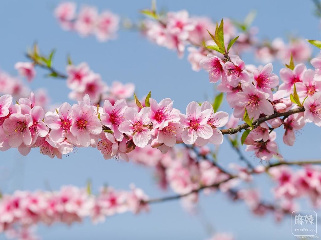 5366d0160924ab185bca1b26ef898cc07a890b40.jpeg@f_auto