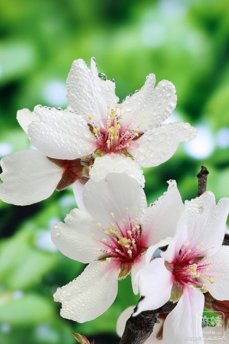 5d6034a85edf8db1a244ba71d150b759564e743a.jpeg@f_auto