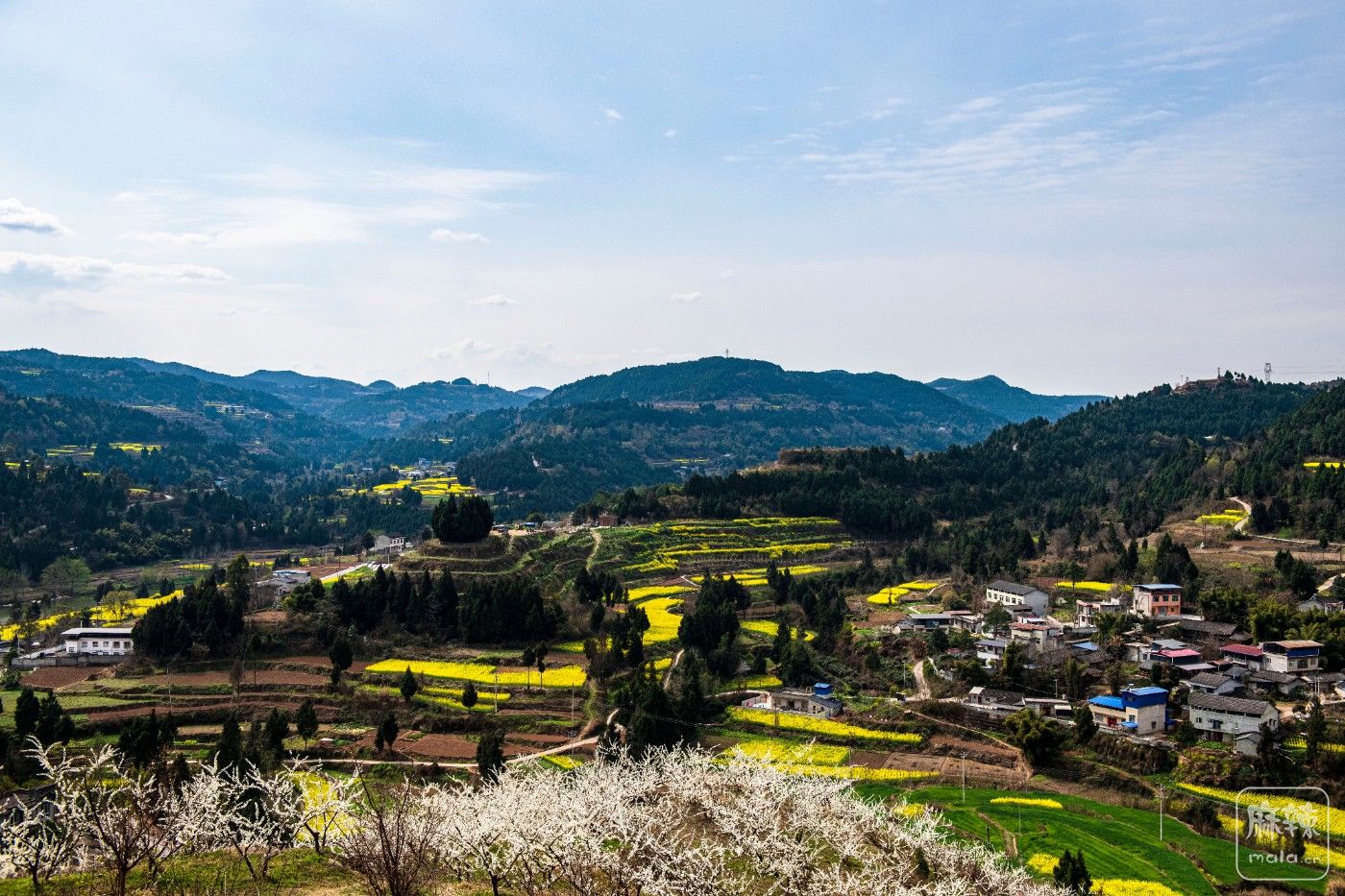 DSC_2526 ����.jpg