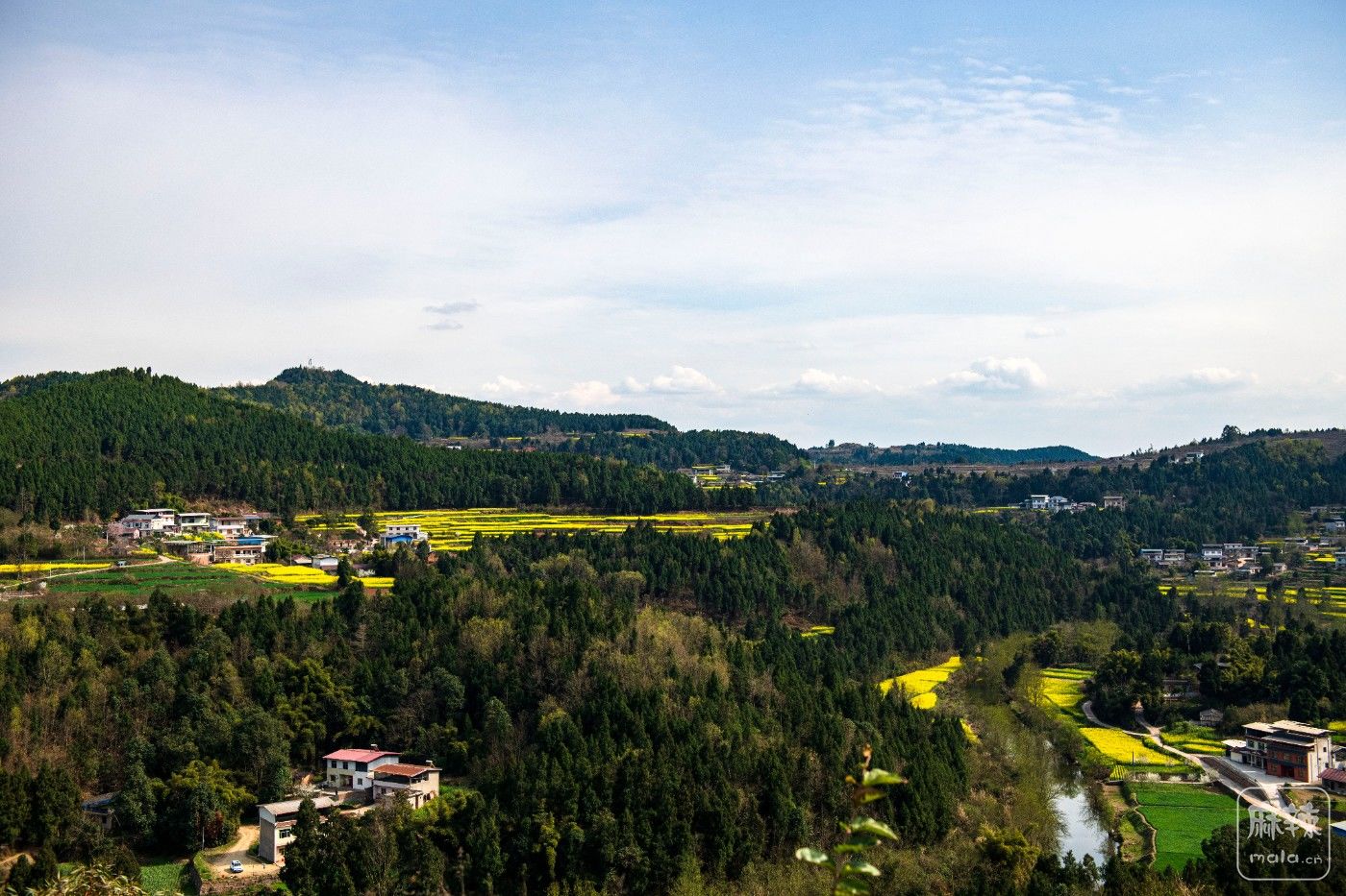 DSC_2559 ����.jpg