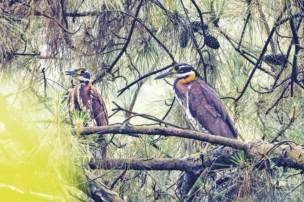 eb859125-97e0-419d-884e-7a05a27725c9.tif.2