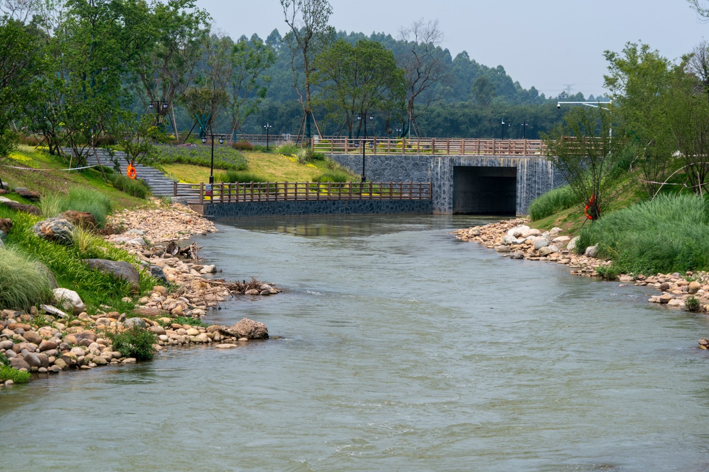 DSC07556 ����.jpg