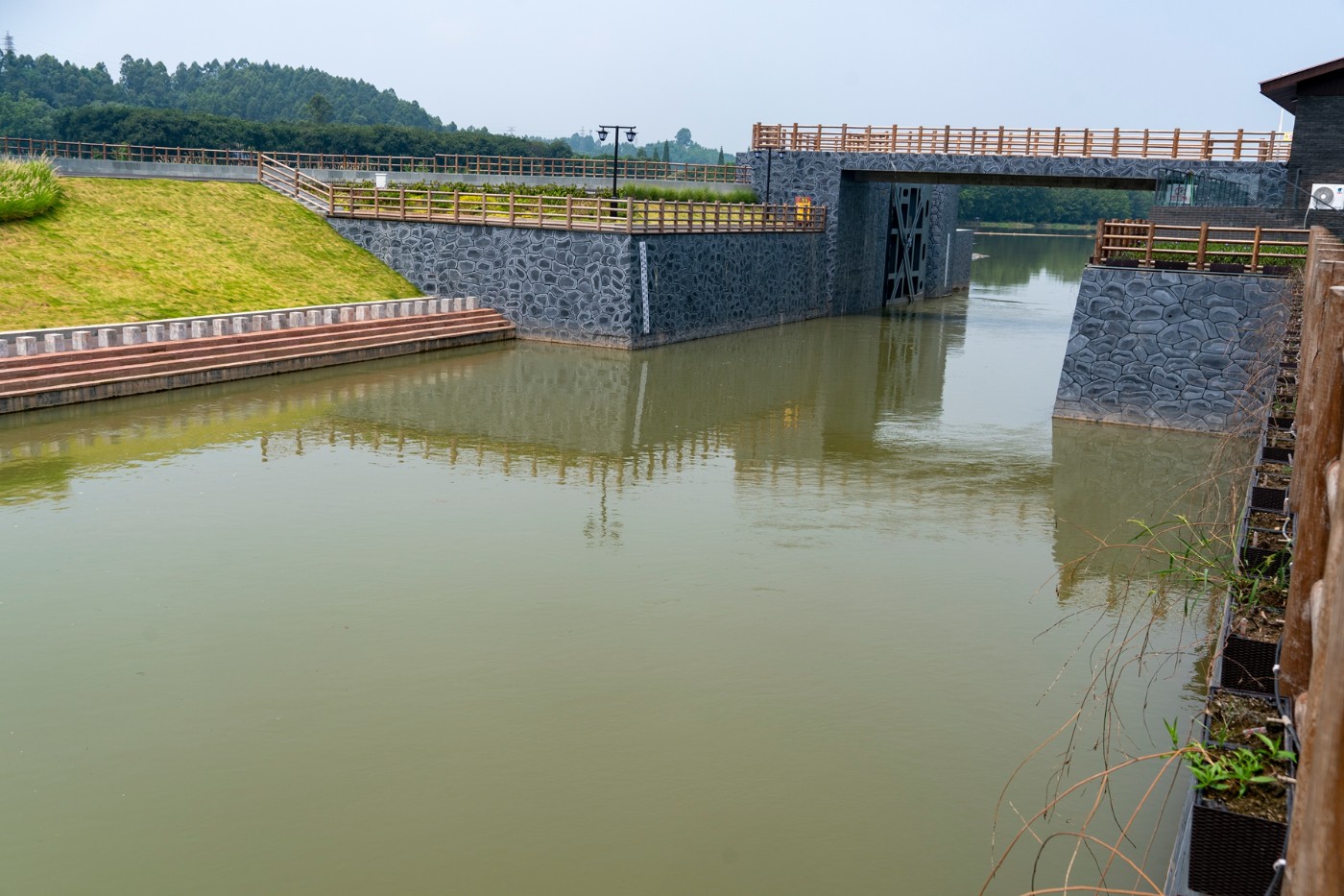 DSC07563 ����.jpg