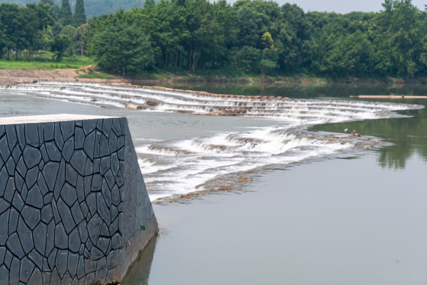 DSC07574 ����.jpg