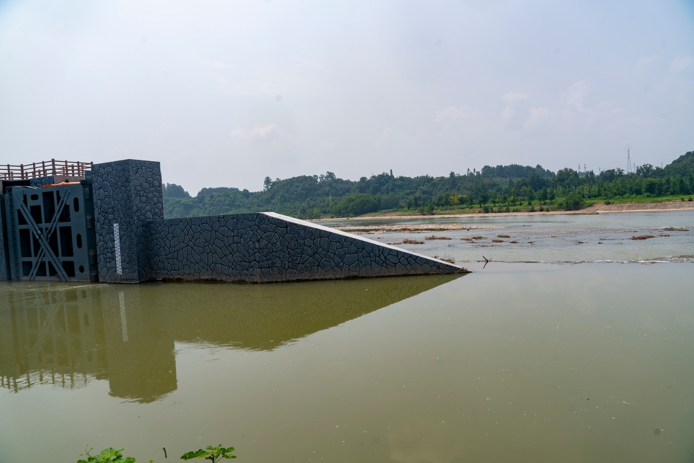 DSC07581 ����.jpg