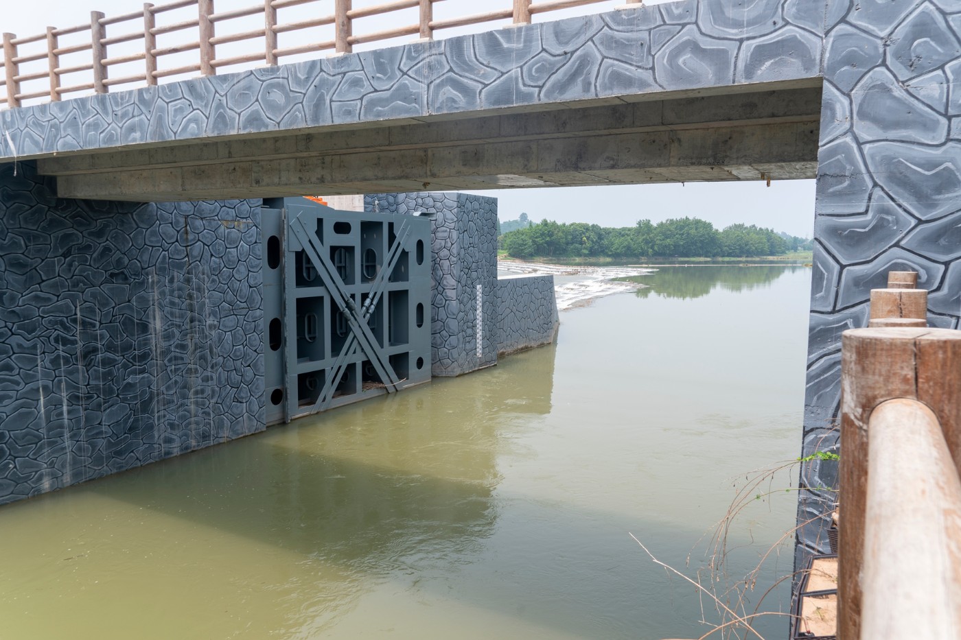 DSC07570 ����.jpg