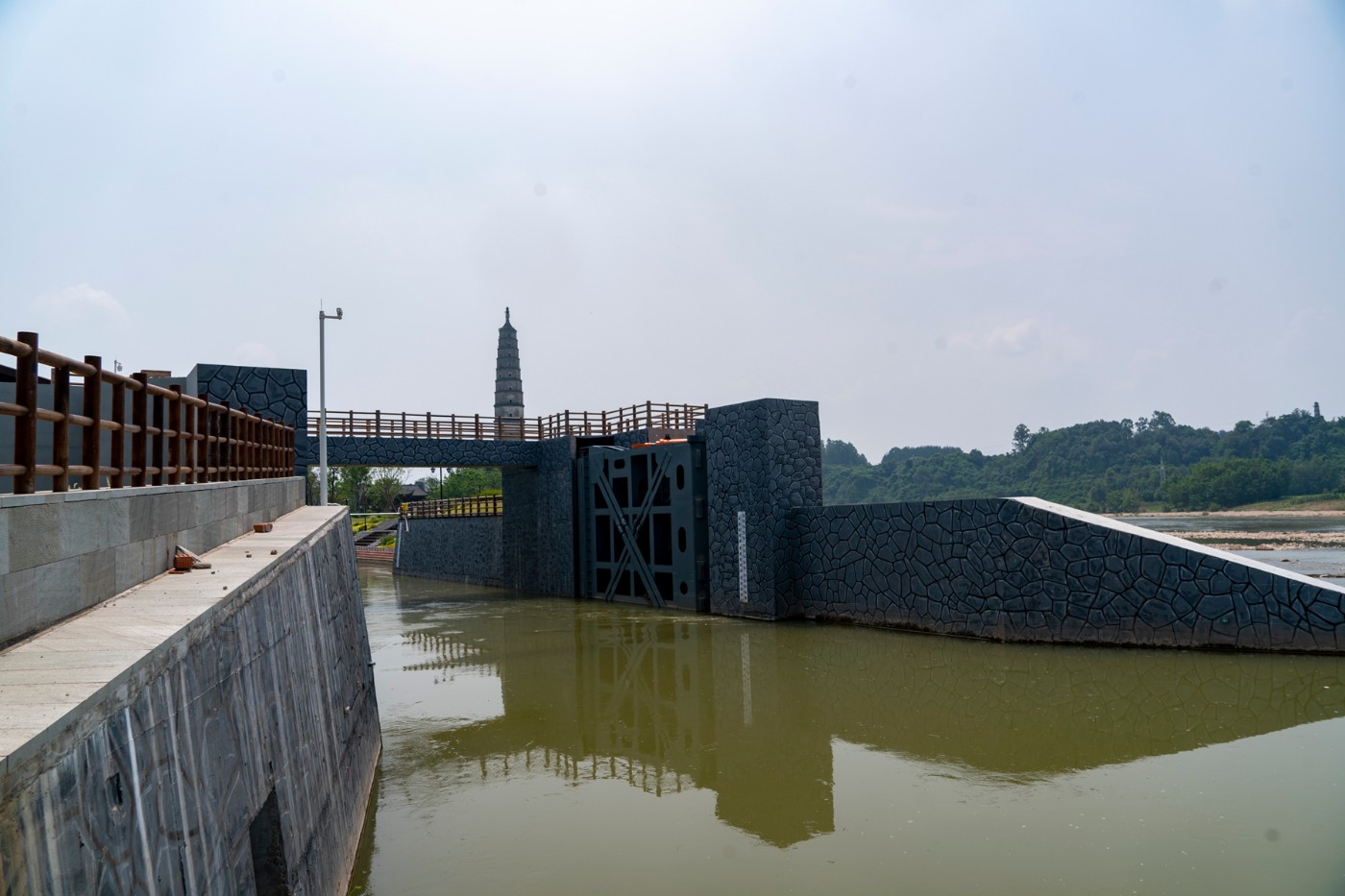 DSC07580 ����.jpg