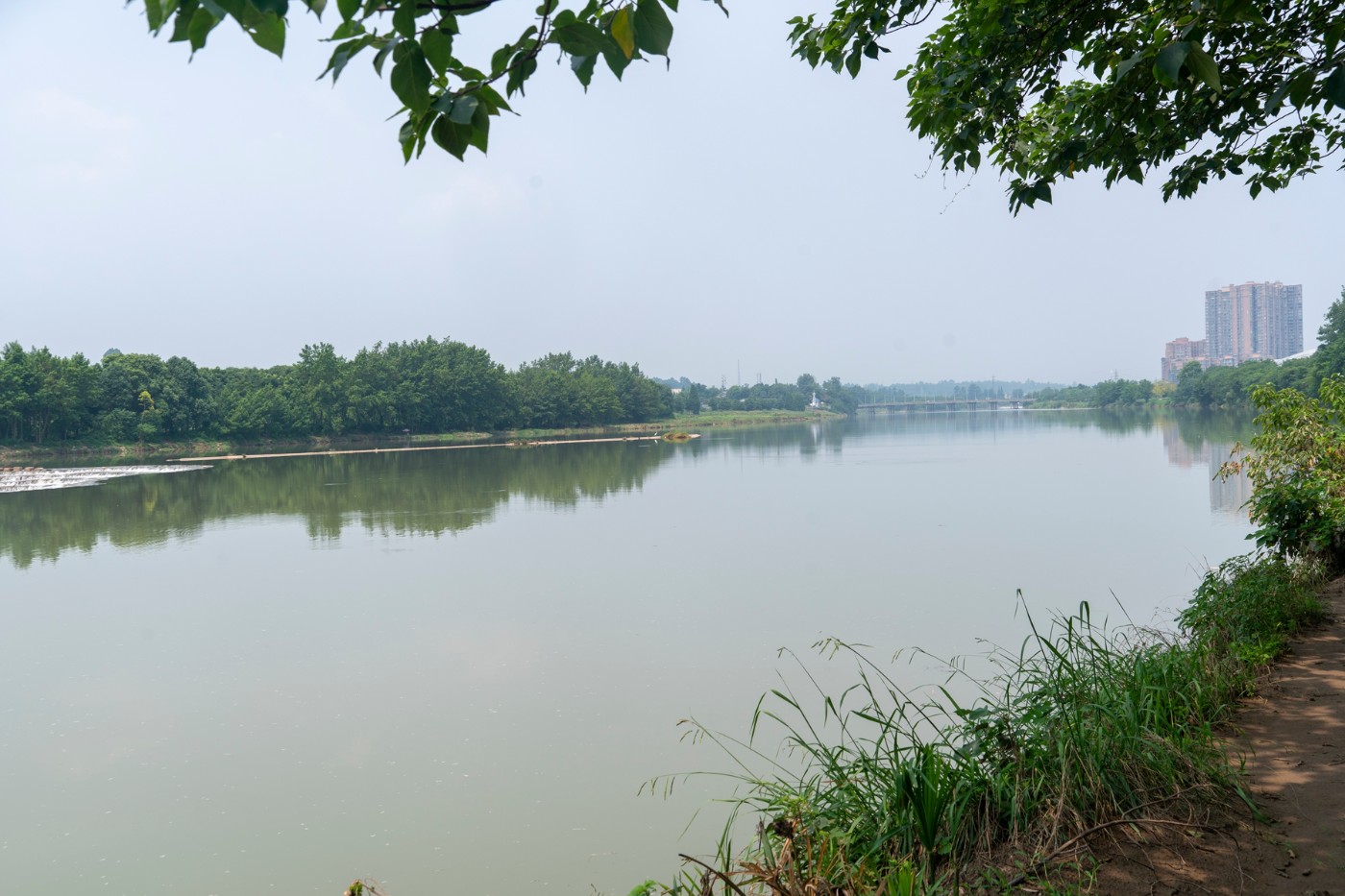 DSC07584 ����.jpg