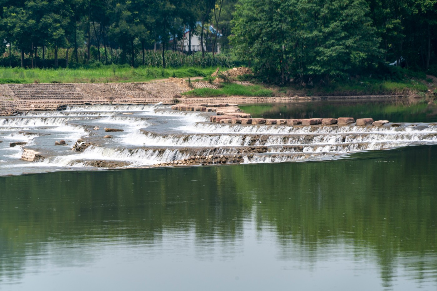 DSC07585 ����.jpg