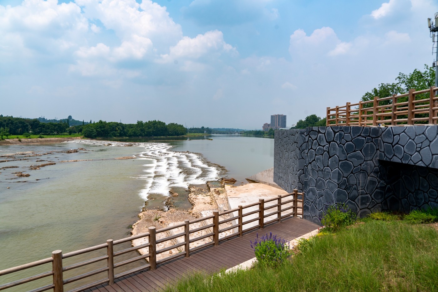 DSC07604 ����.jpg