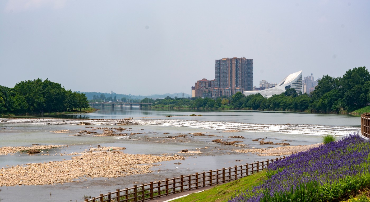 DSC07591 ����.jpg