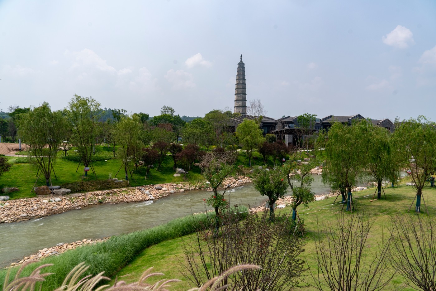 DSC07590 ����.jpg