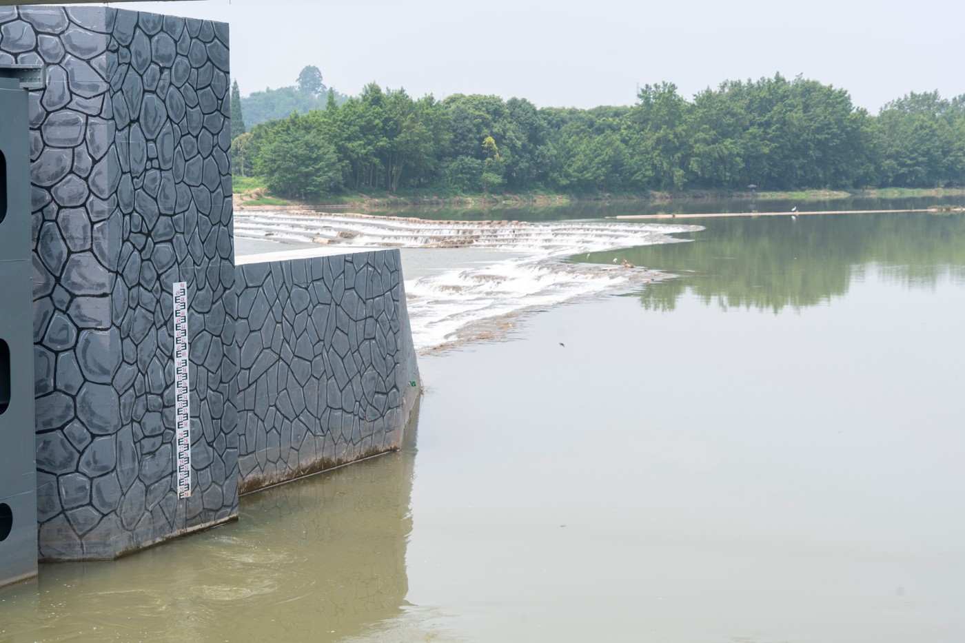 DSC07571 ����.jpg