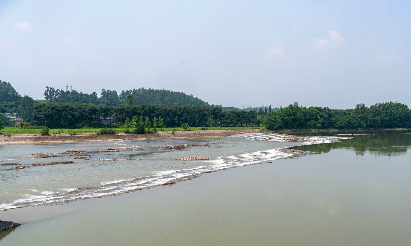 DSC07578 ����.jpg