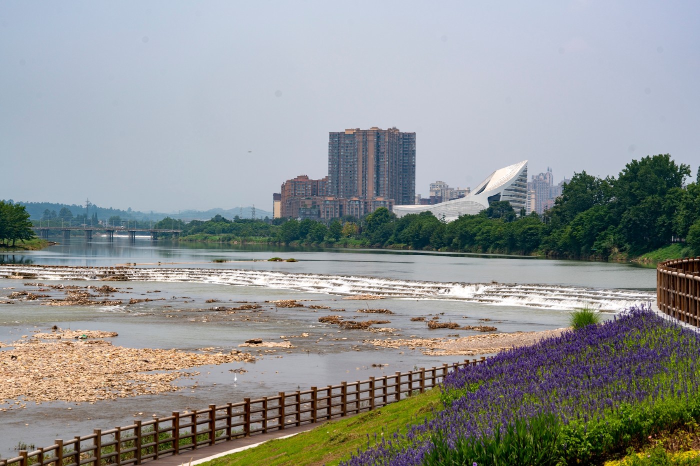 DSC07592 ����.jpg