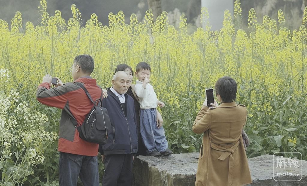 e30452c8-9665-4093-9fef-9f662d9f8edf.tif.2