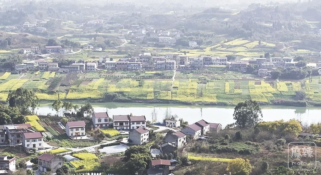 9c4e85f5-c45c-4a46-ab5b-f607bfae523b.tif.2