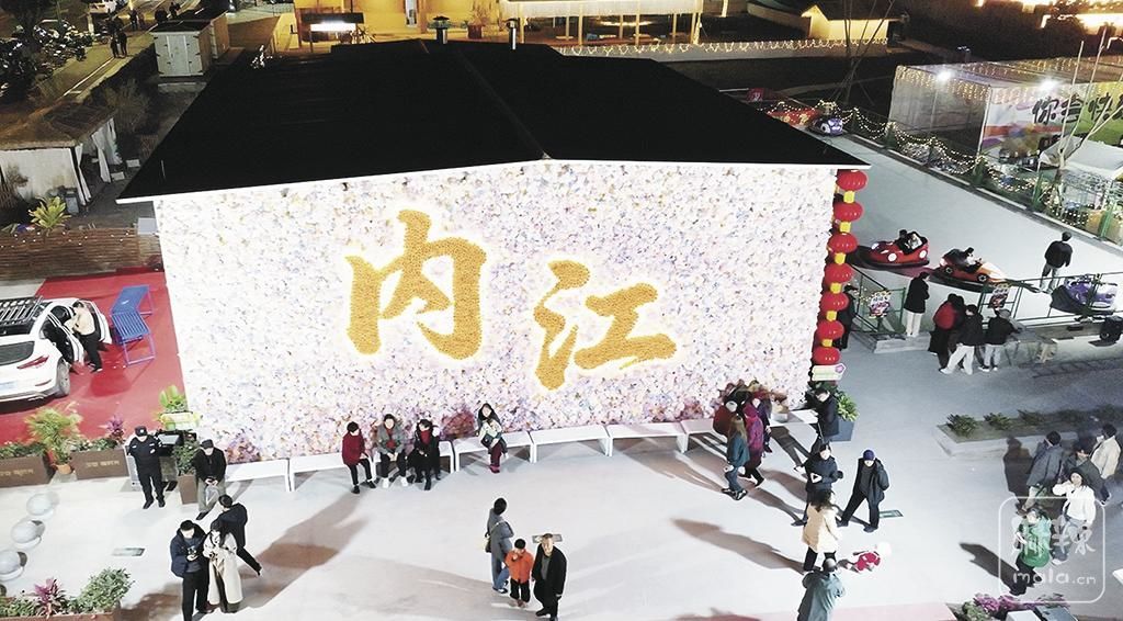 ae0e7c26-f651-4d56-8c12-2d87041e8d96.tif.2