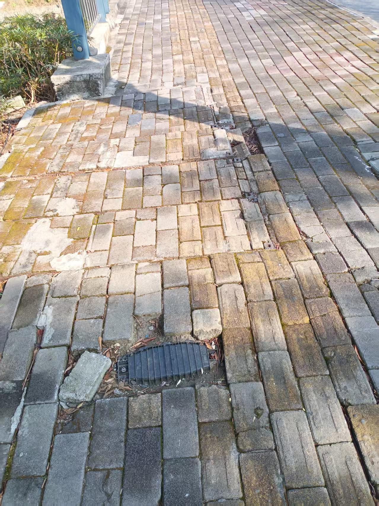 �Ļ����Ա�