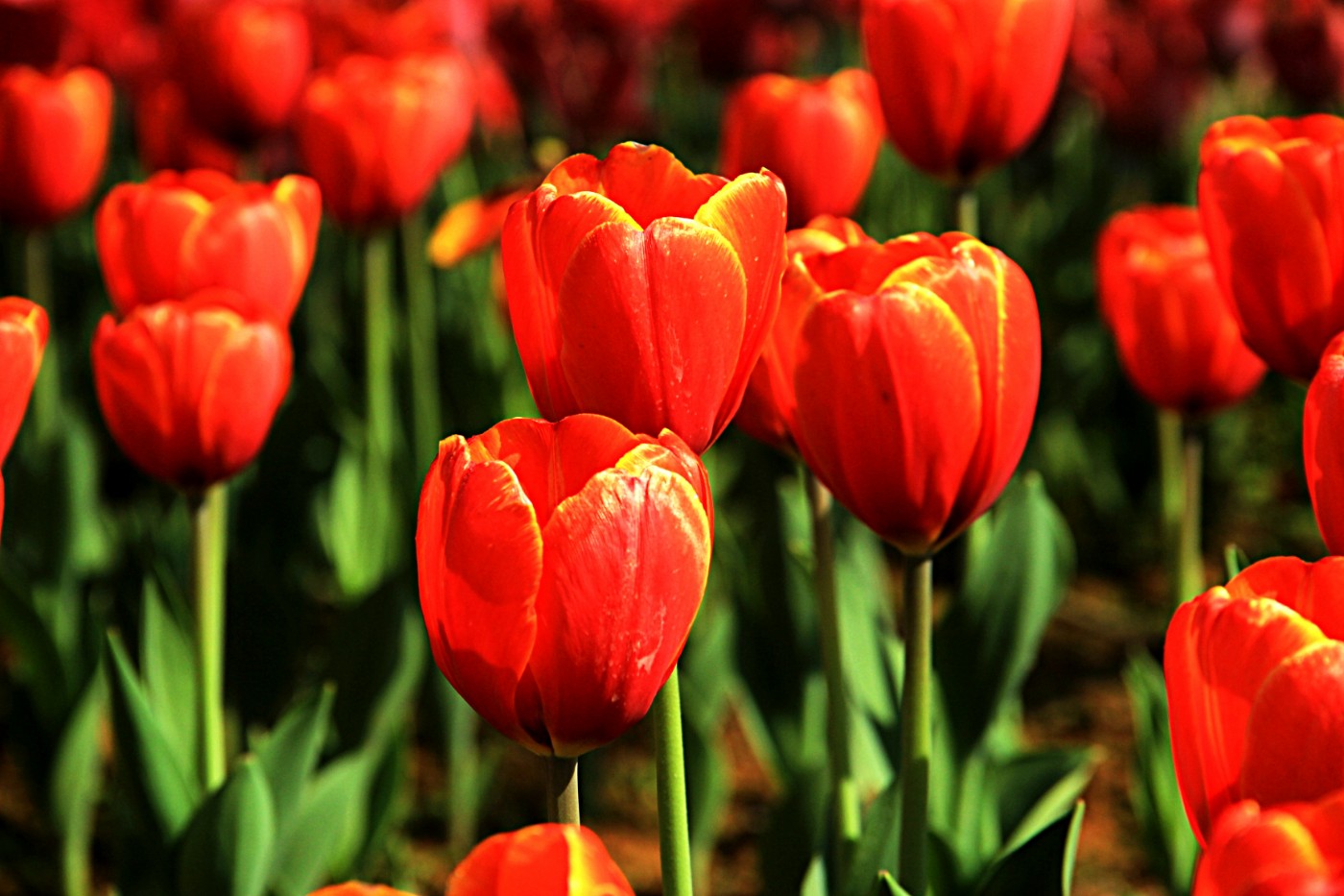 ���������￲ 003.jpg