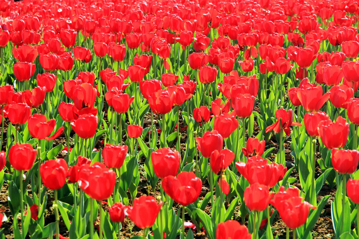 ���������￲ 001.jpg