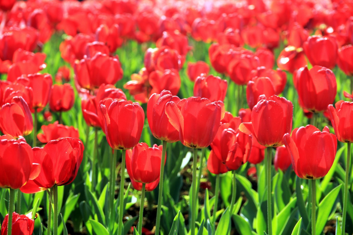 ���������￲ 002.jpg