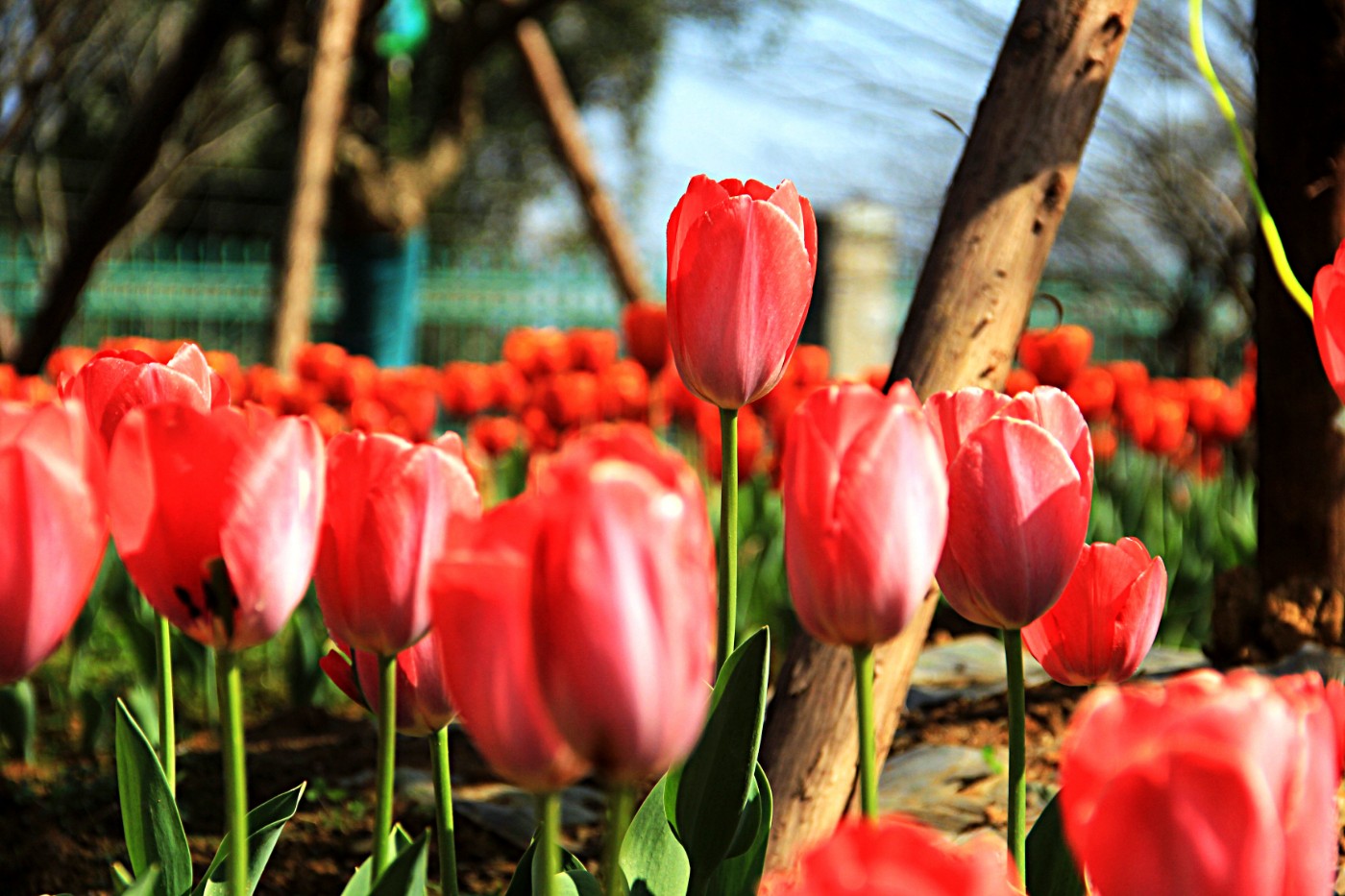 ���������￲ 007.jpg