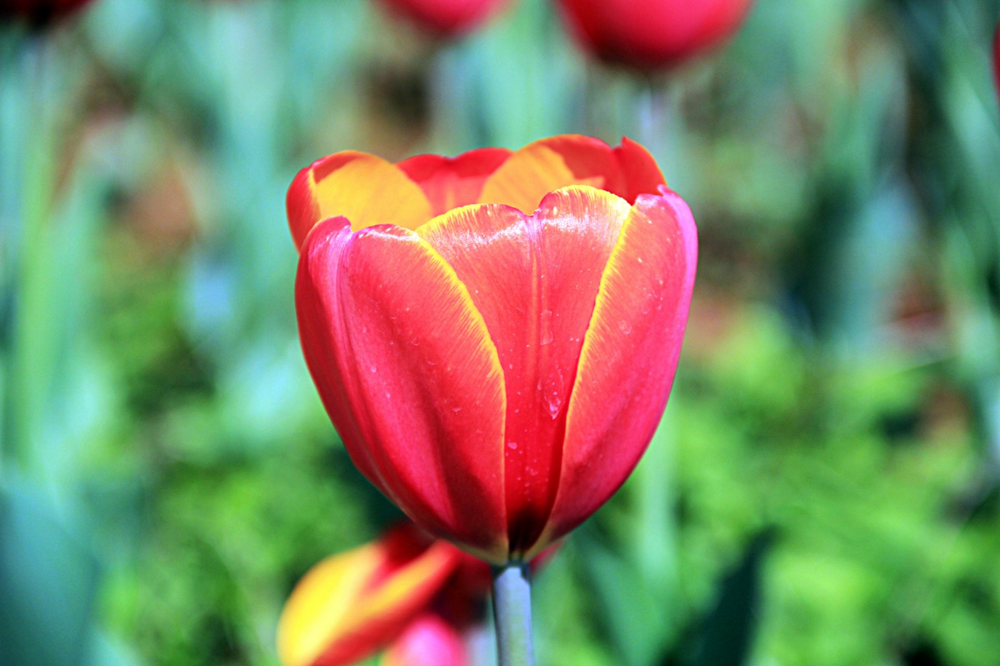 ���������￲ 012.jpg