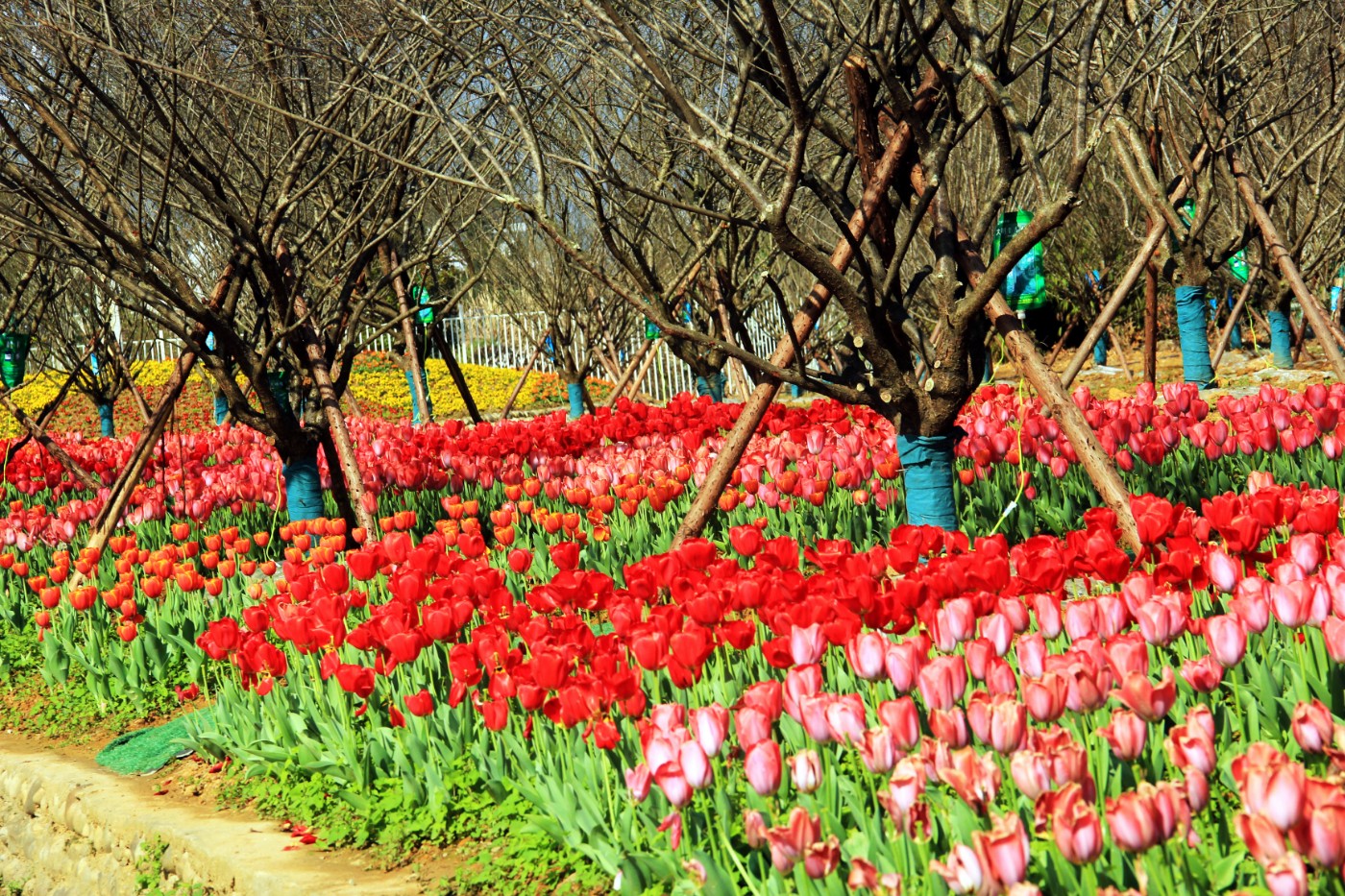 ���������￲ 015.jpg