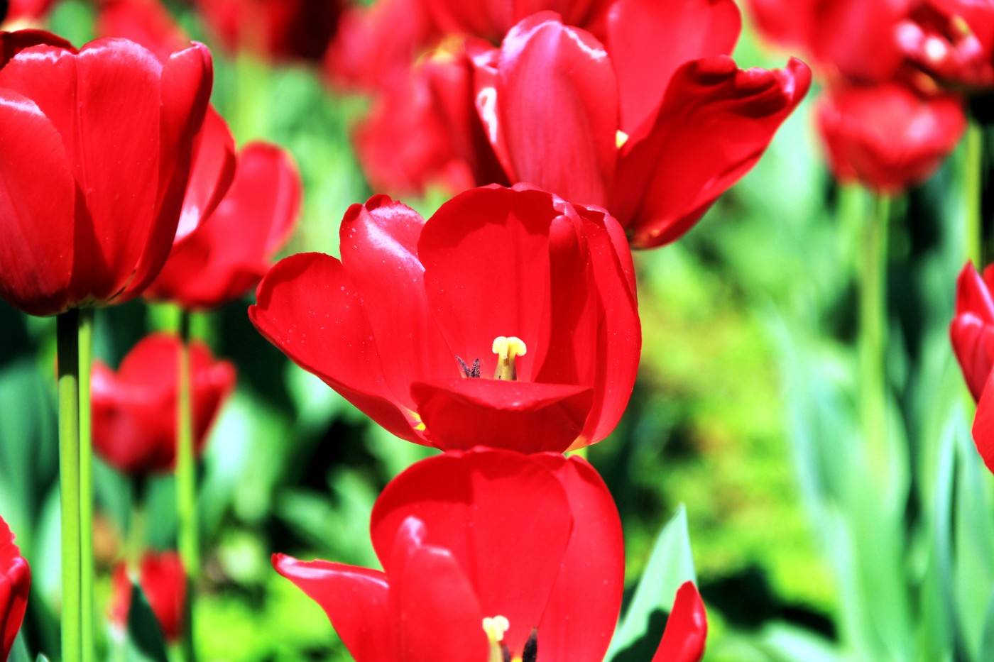 ���������￲ 024.jpg