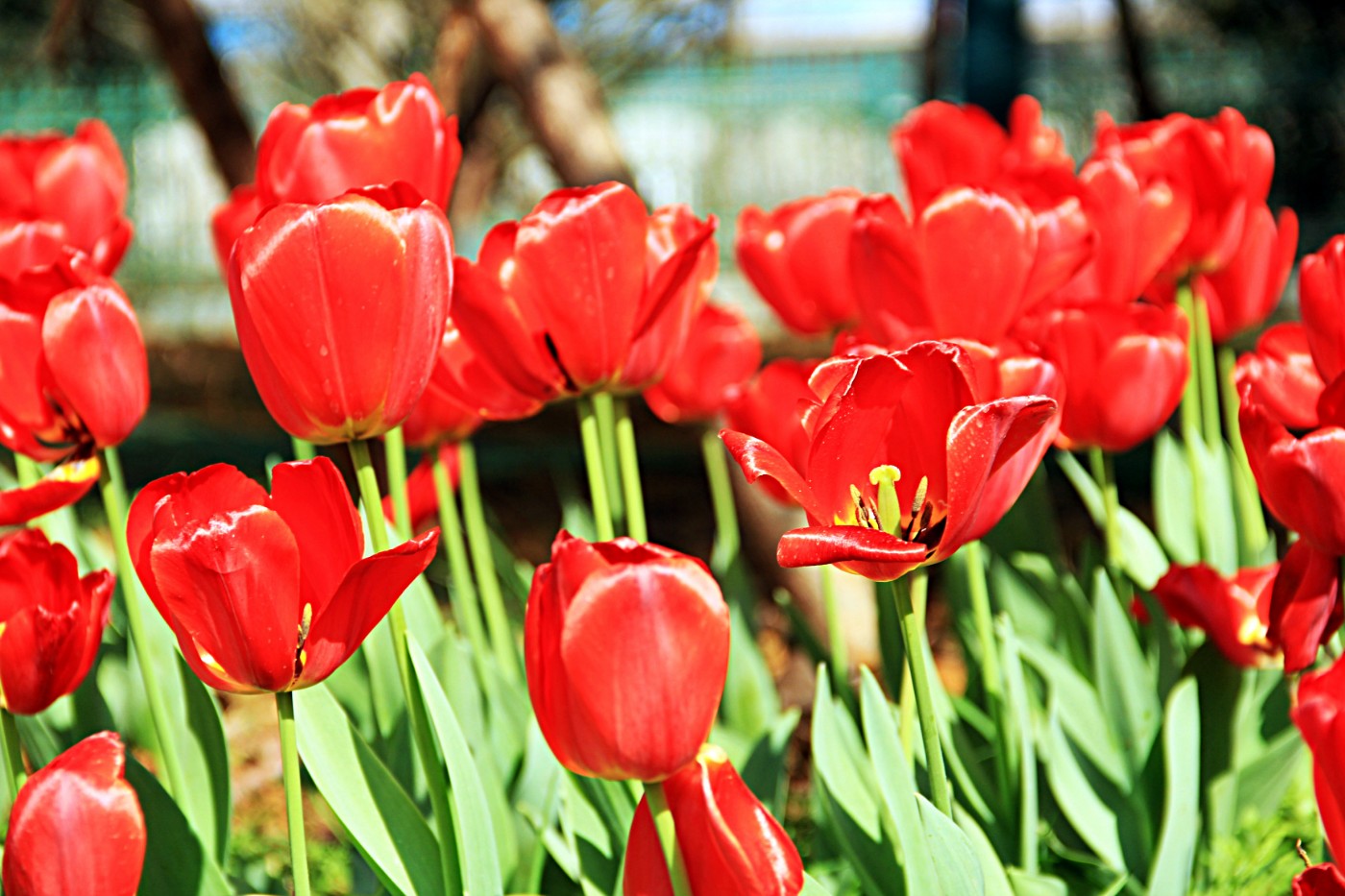 ���������￲ 017.jpg