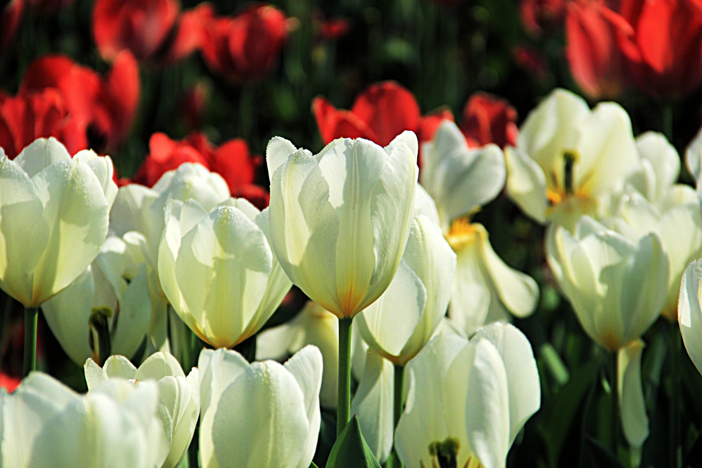 ���������￲ 042.jpg