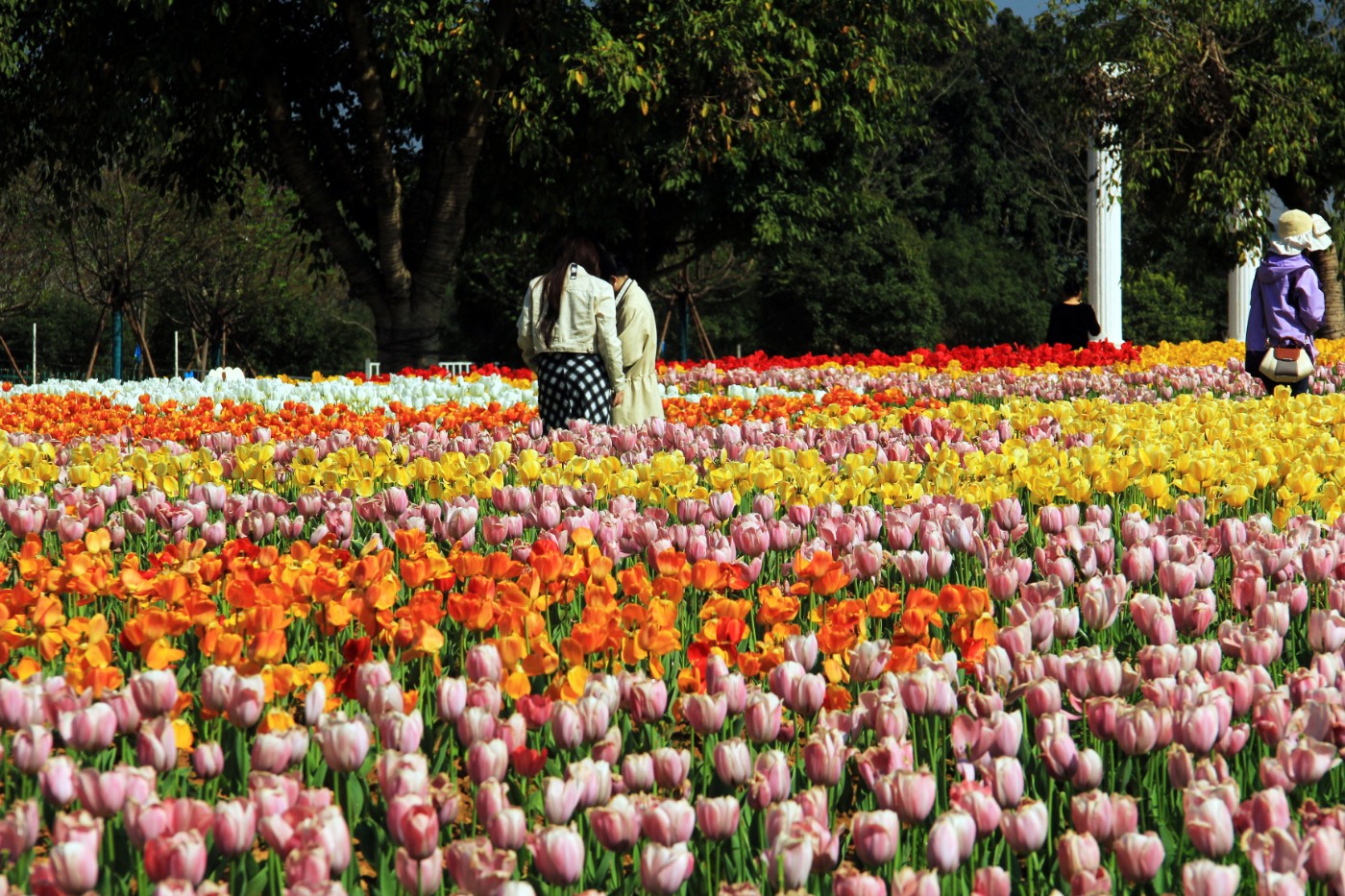 ���������￲ 048.jpg