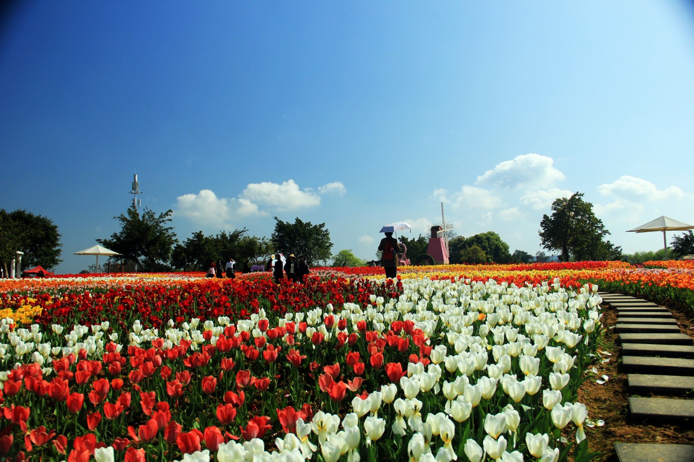 ���������￲ 043.jpg