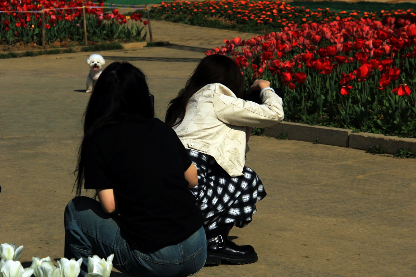 ���������￲ 064.jpg