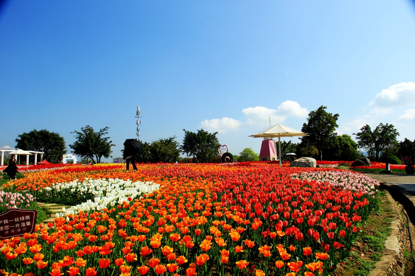 ���������￲ 050.jpg