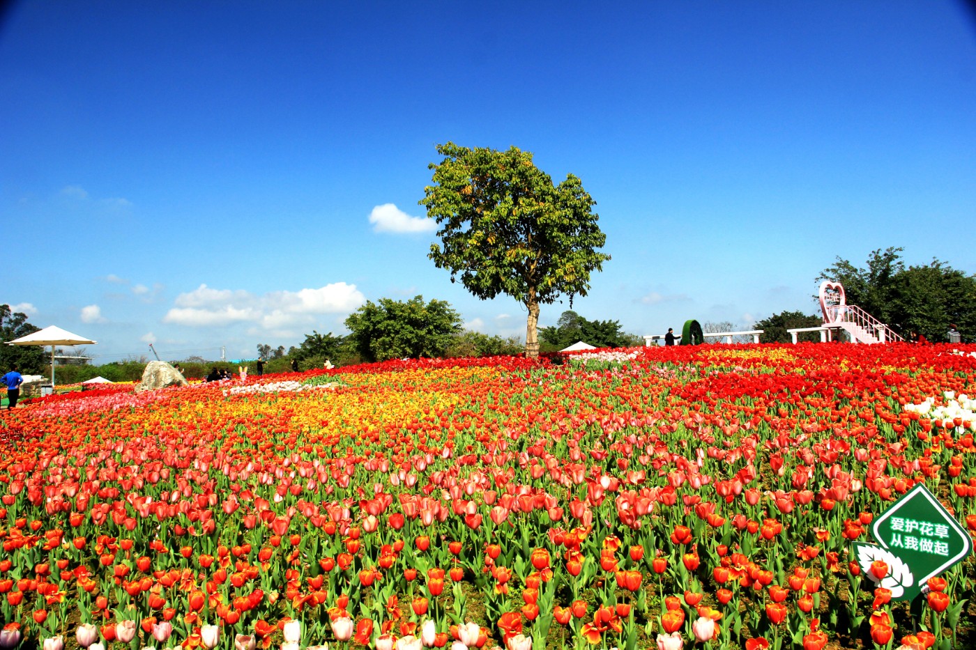 ���������￲ 077.jpg