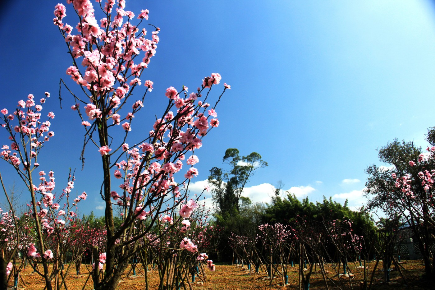 ���������￲ 096.jpg