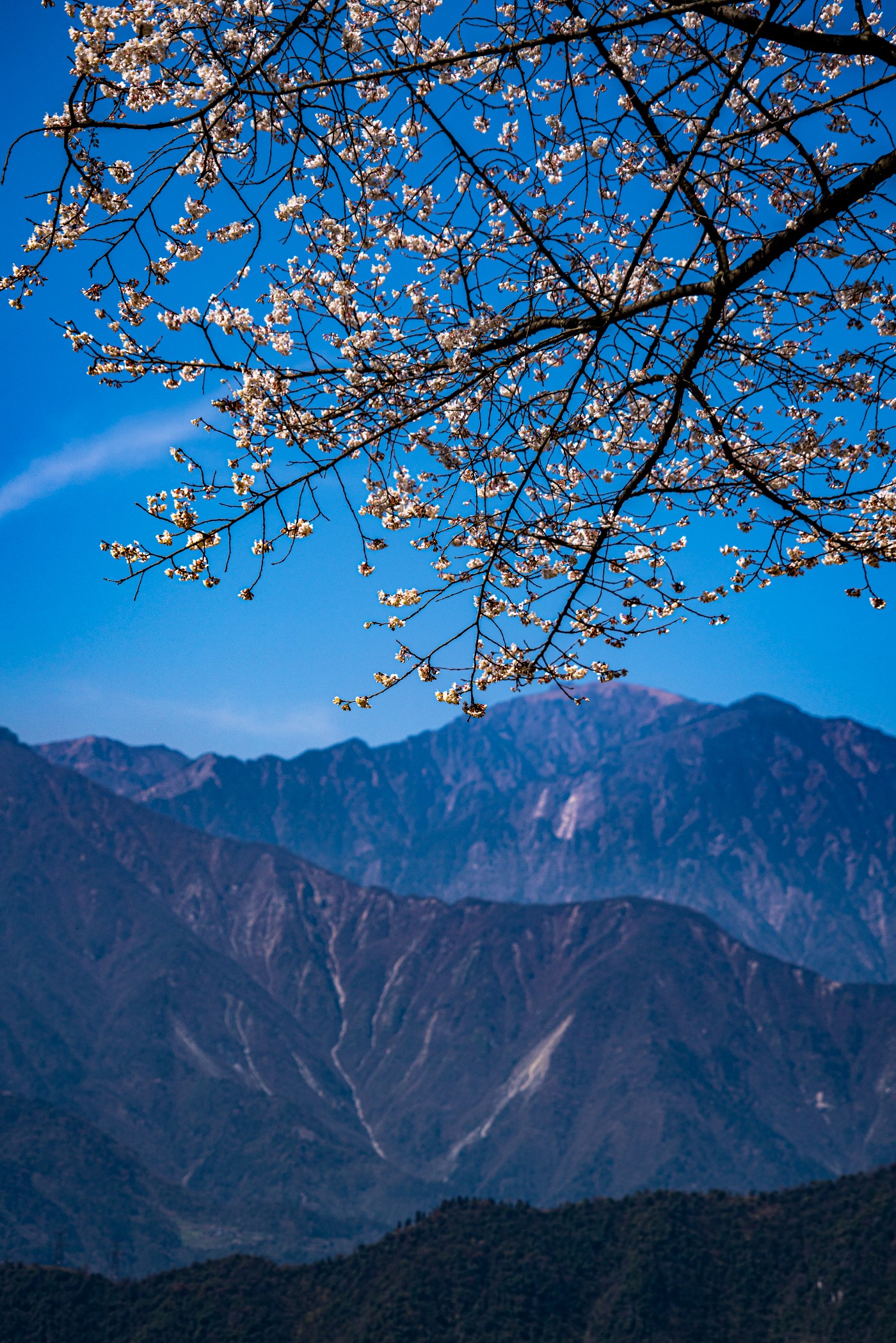 DSC09804 ����.jpg