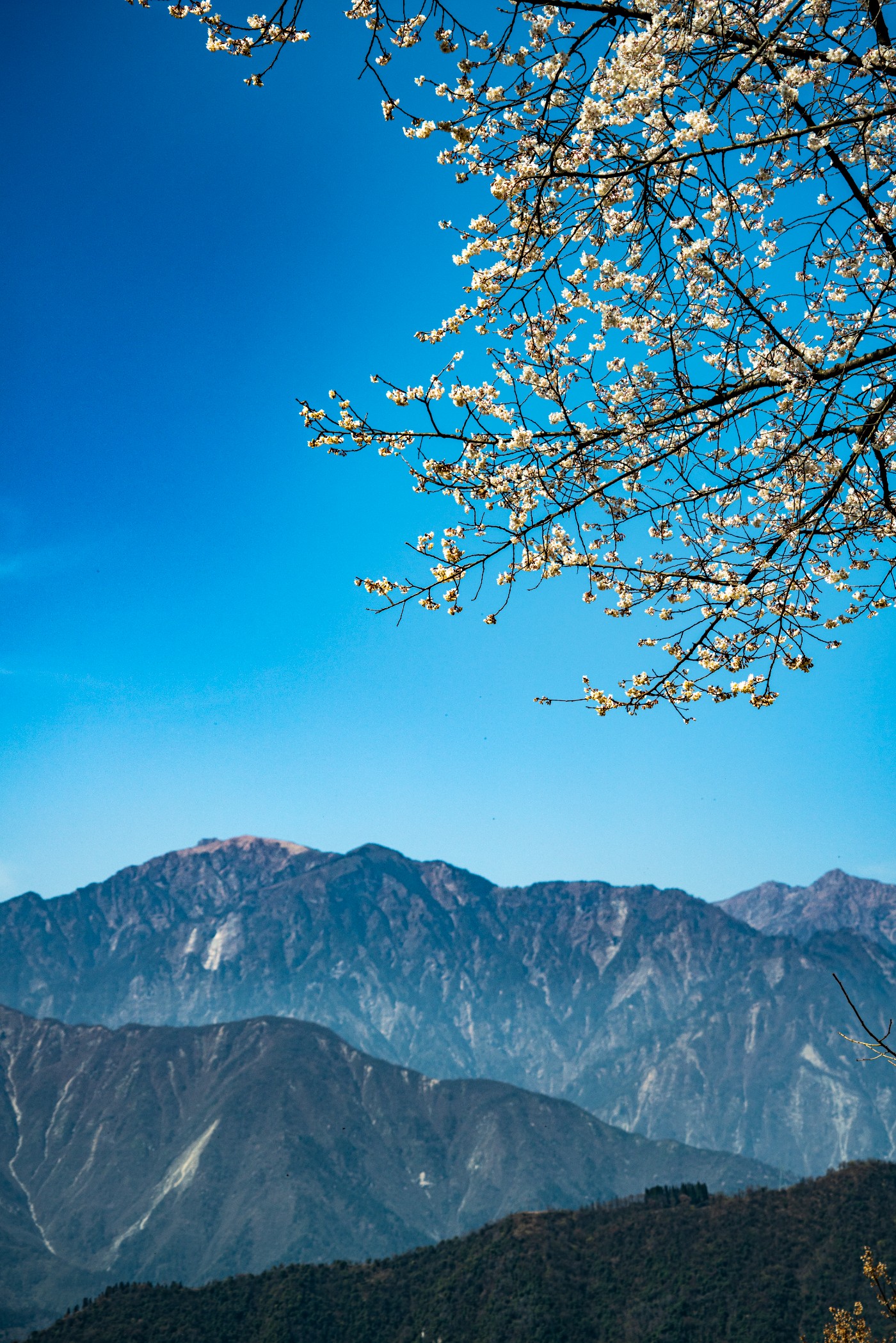 DSC09805 ����.jpg