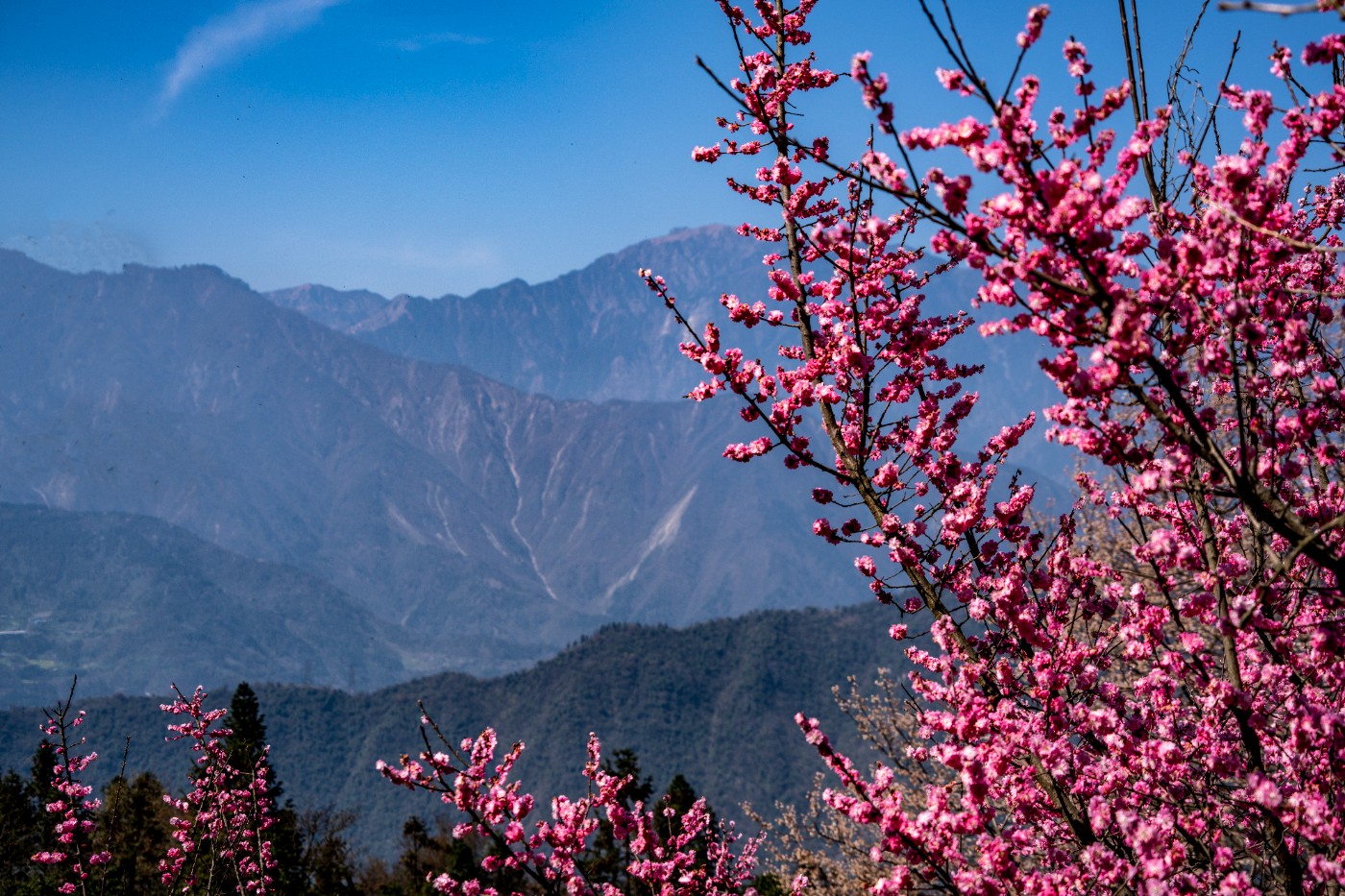 DSC09807 ����.jpg