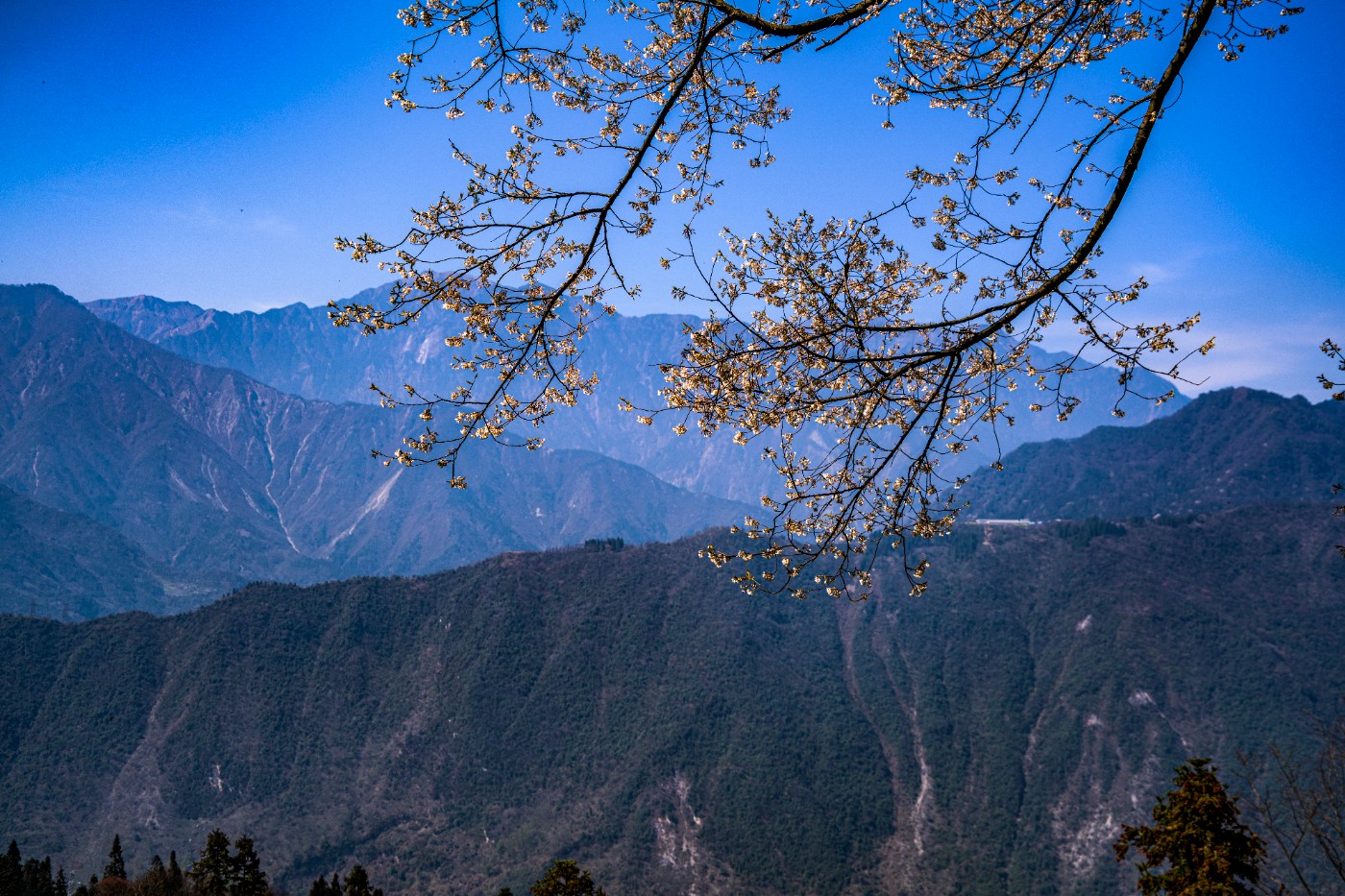 DSC09817 ����.jpg